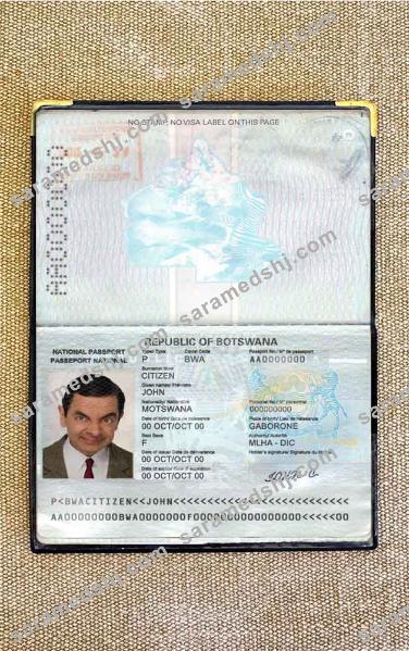 Botswana passport photo look